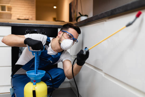 Best Local Pest Control Services  in Estell Manor, NJ