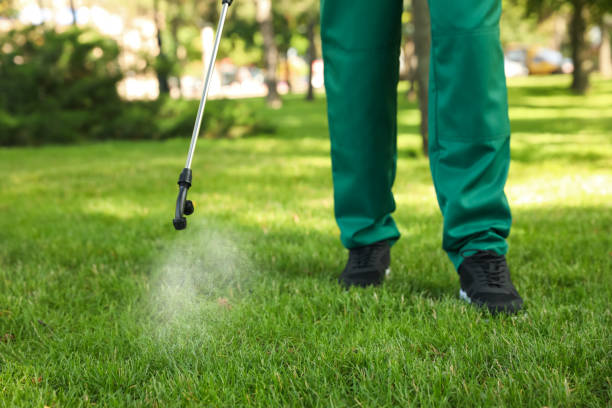 Best Termite Control Services  in Estell Manor, NJ