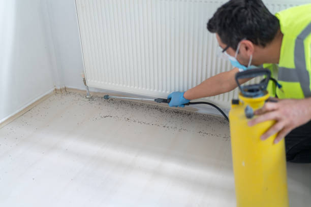 Reliable Estell Manor, NJ Pest Control Solutions
